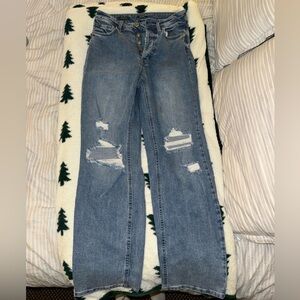 Wild Fable Jeans